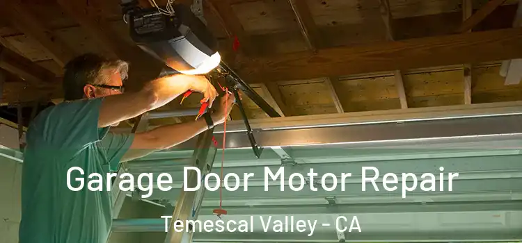  Garage Door Motor Repair Temescal Valley - CA