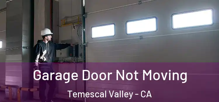 Garage Door Not Moving Temescal Valley - CA