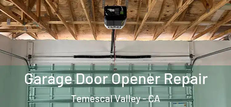  Garage Door Opener Repair Temescal Valley - CA