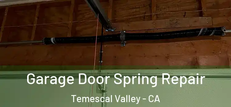  Garage Door Spring Repair Temescal Valley - CA
