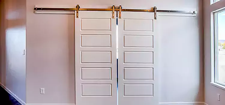 Glass Barn Door with Installation Hardware Kit Temescal Valley
