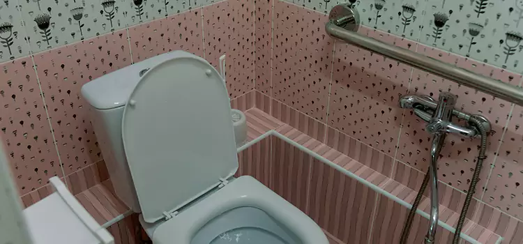 Meeting Diverse Needs With Accessible Restroom Solutions in Temescal Valley, CA