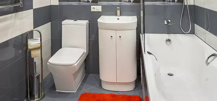 Hansgrohe Shaving Mirror Temescal Valley