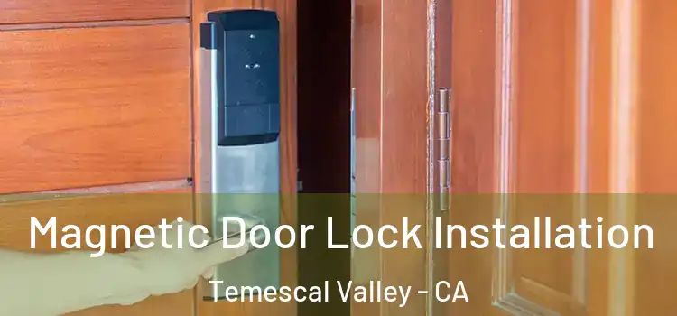 Magnetic Door Lock Installation Temescal Valley - CA